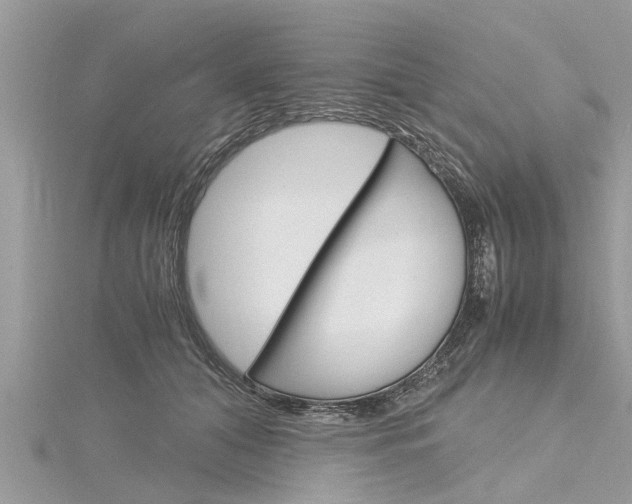 X0000116120608200911230932