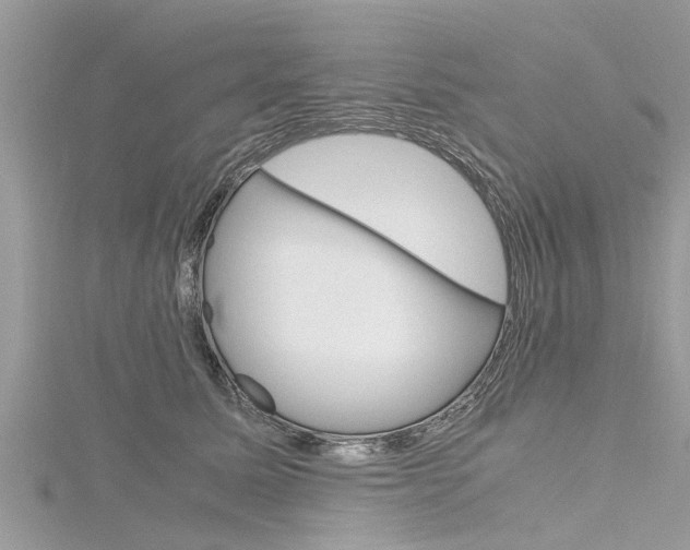 X0000116120611200911230932