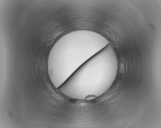 X0000116120620200911230932