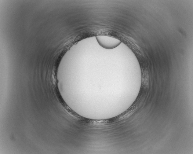 X0000116120622200911230932
