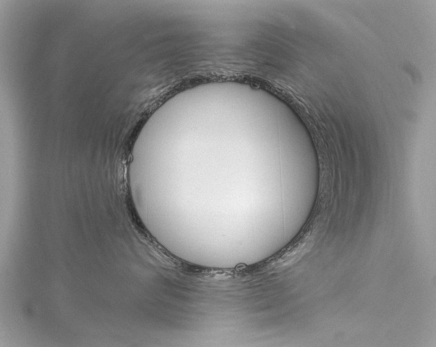 X0000116120624200911230932