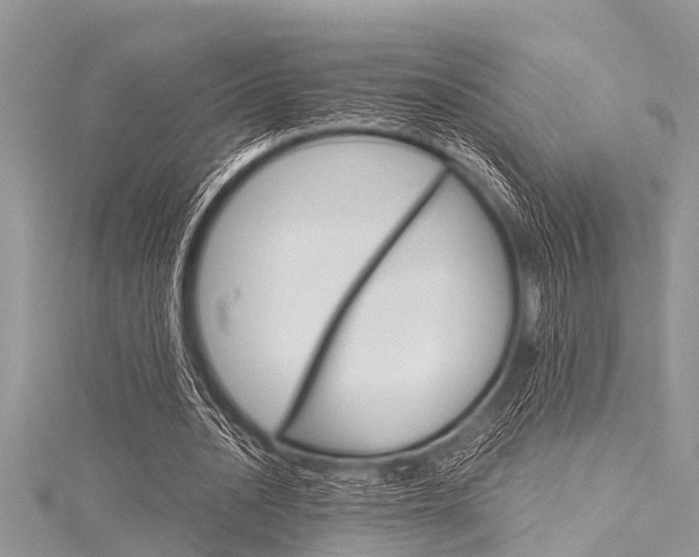 X0000116120628200911230931