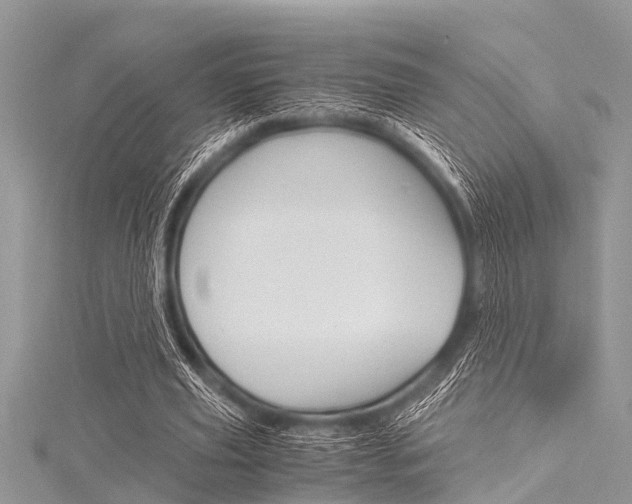 X0000116120629200911230931
