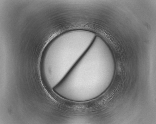 X0000116120630200911230931