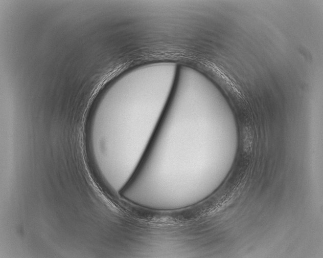 X0000116120634200911230931