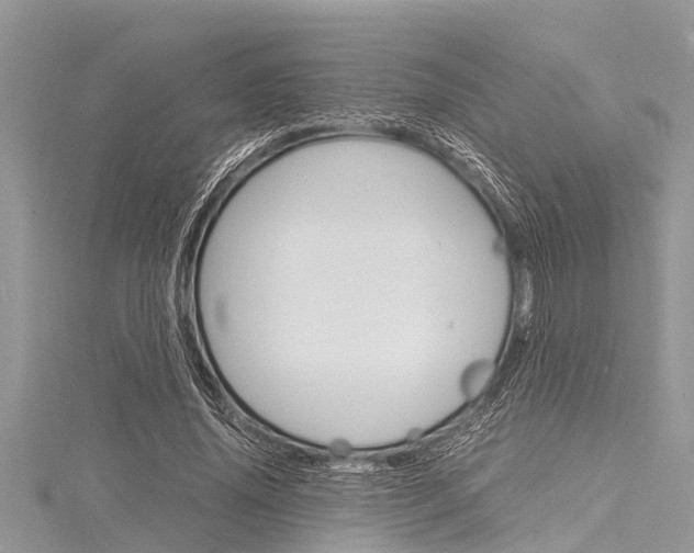 X0000116120636200911230931