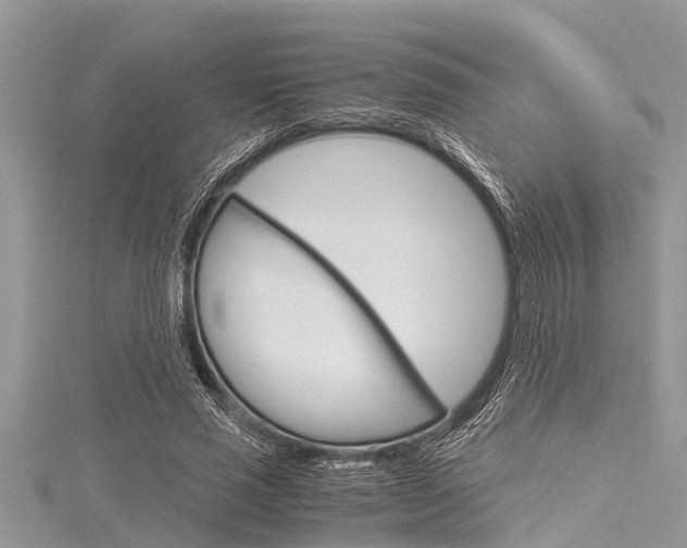 X0000116120637200911230931