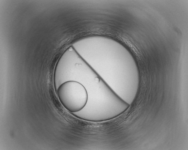 X0000116120639200911230931