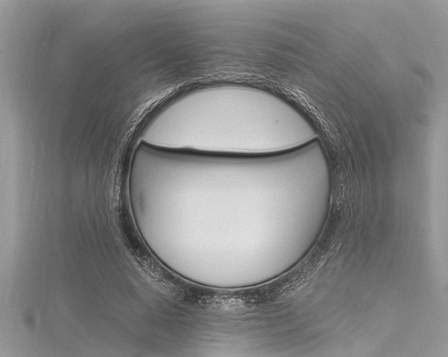 X0000116120640200911230931