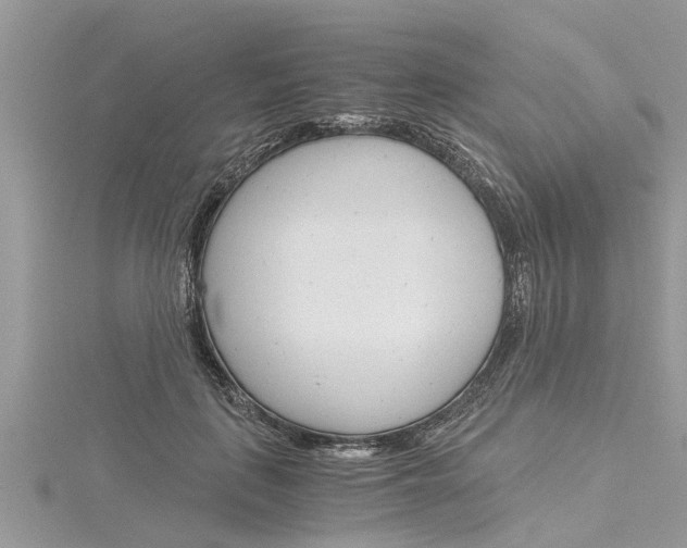 X0000116120651200911230932