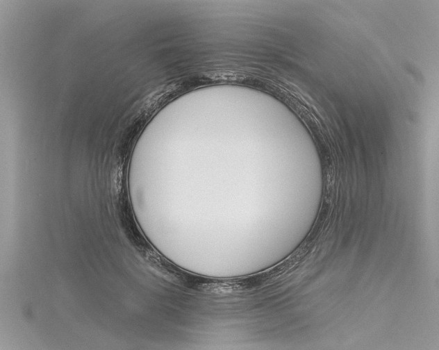 X0000116120652200911230932