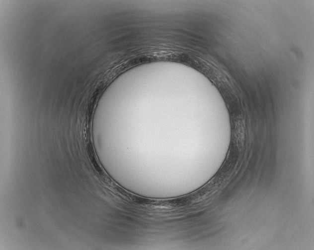 X0000116120653200911230932