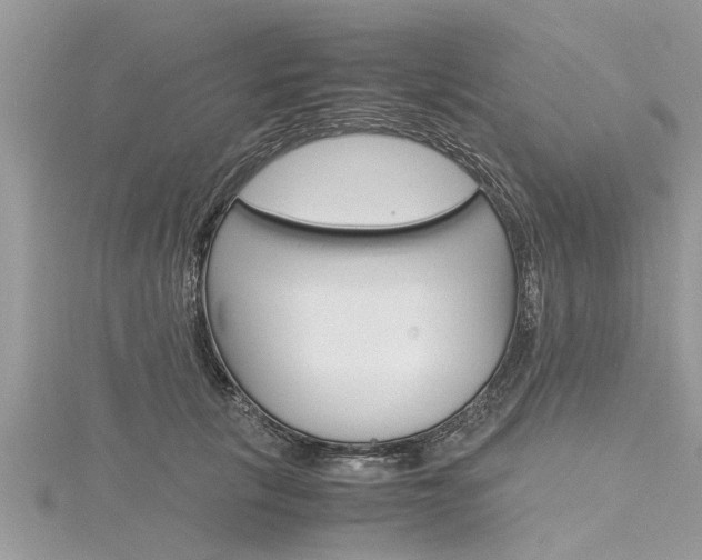 X0000116120657200911230932
