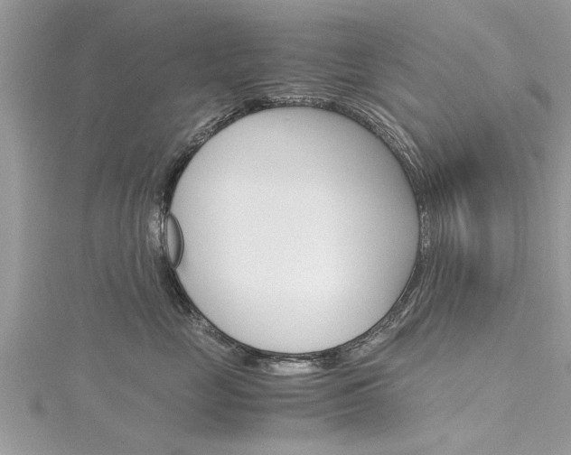 X0000116120669200911230932