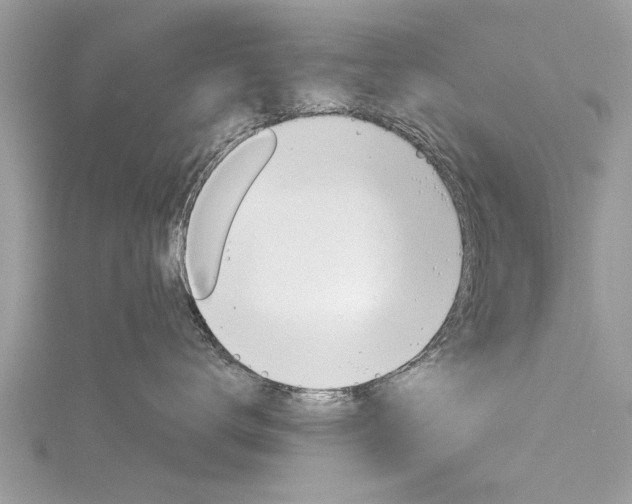 X0000116120672200911230932