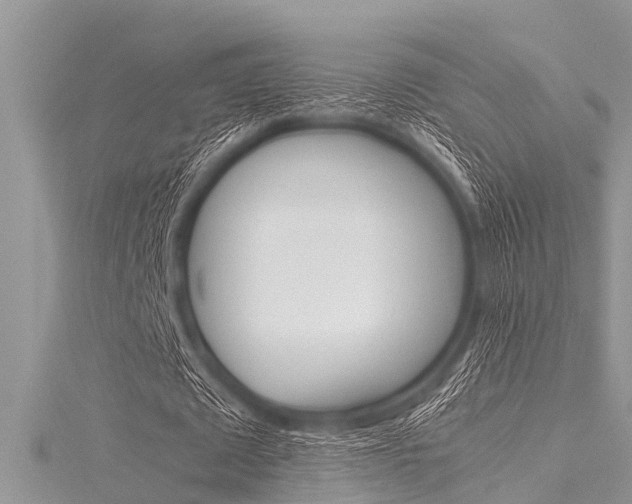X0000116120673200911230931