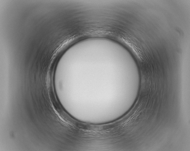X0000116120674200911230931