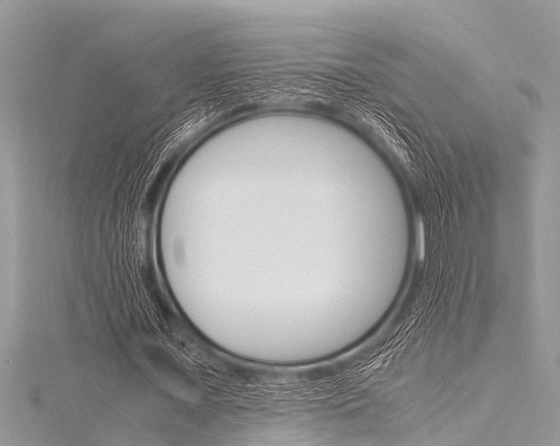 X0000116120675200911230931