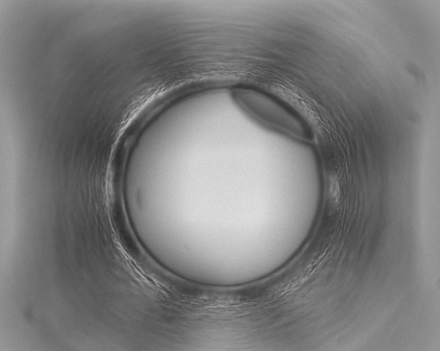 X0000116120676200911230931