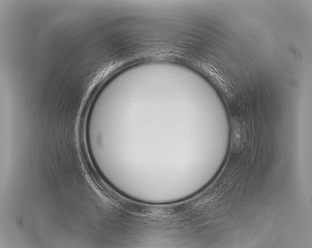 X0000116120678200911230931