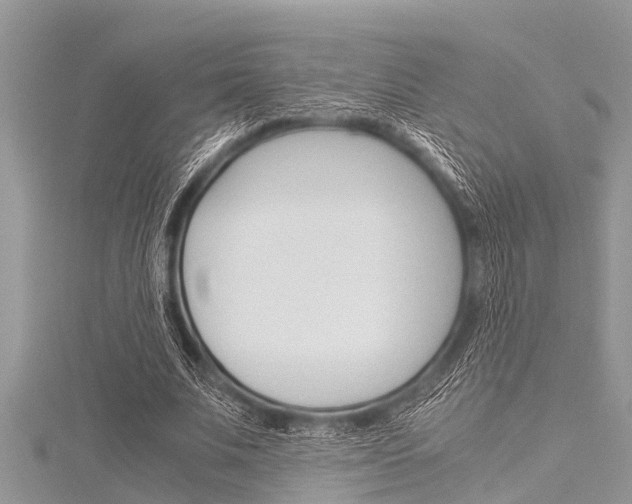 X0000116120679200911230931
