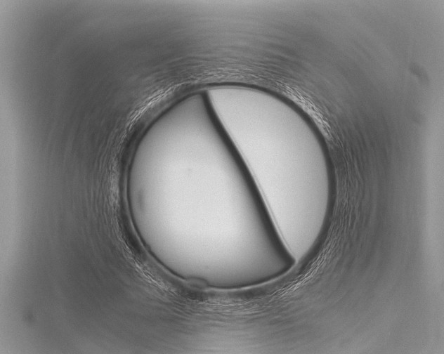 X0000116120681200911230931
