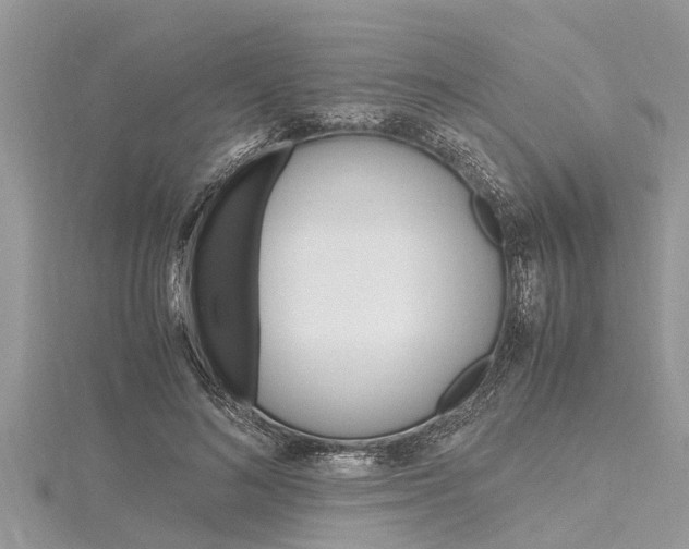 X0000116120692200911230931