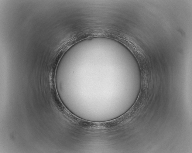 X0000116120696200911230931