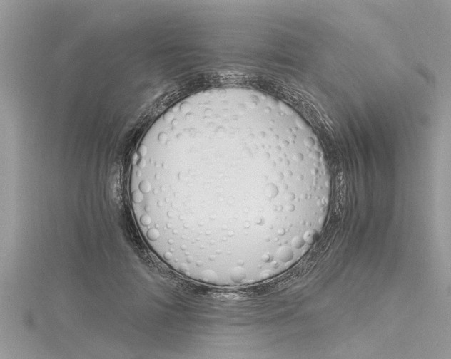 X0000116120698200911230931