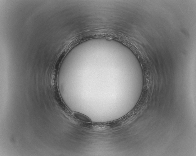 X0000116120708200911230931