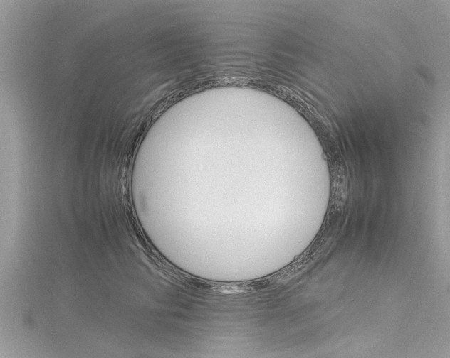 X0000116120710200911230931