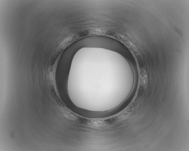 X0000116120716200911230931