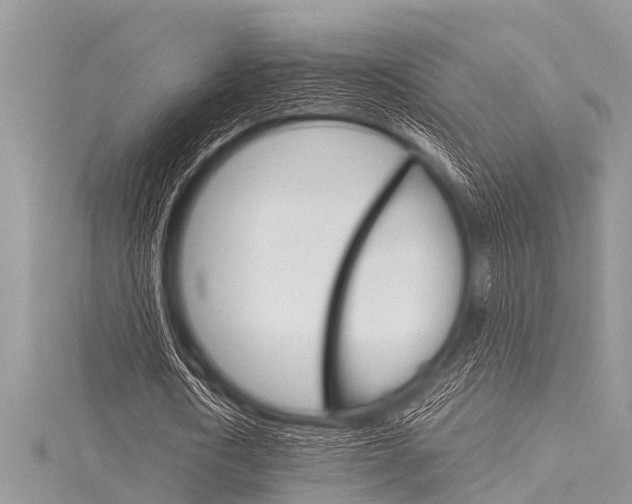 X0000116120722200911230930