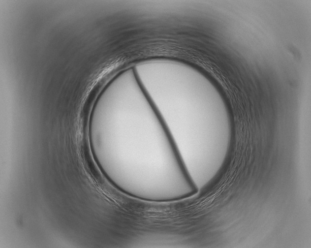 X0000116120727200911230930