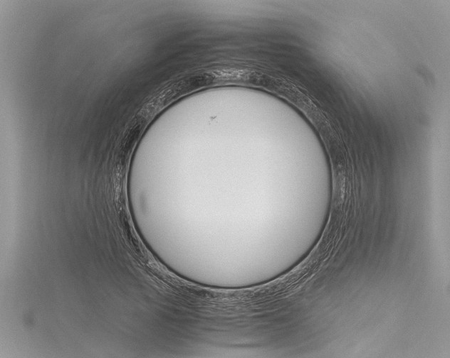 X0000116120737200911230930