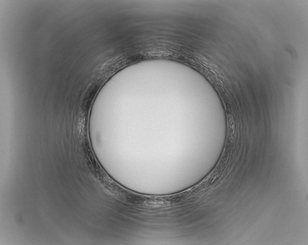 X0000116120745200911230930