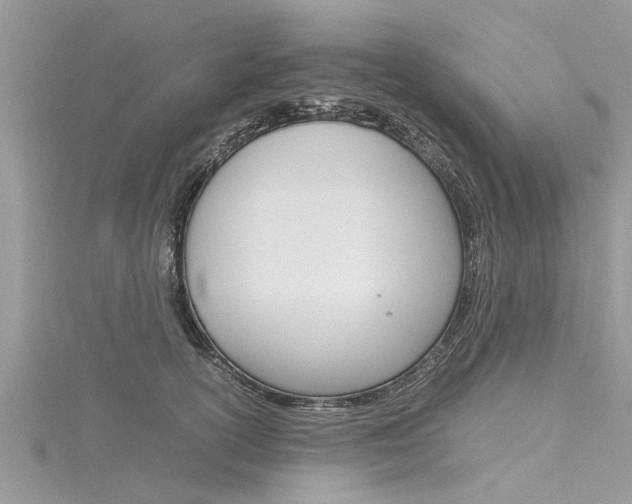 X0000116120754200911230930