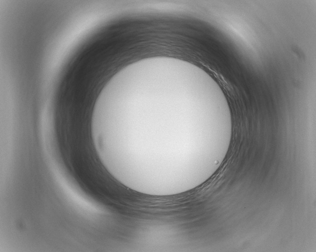 X0000116120766200911230931