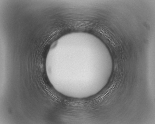 X0000116120771200911230930