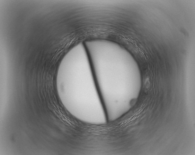 X0000116120772200911230930