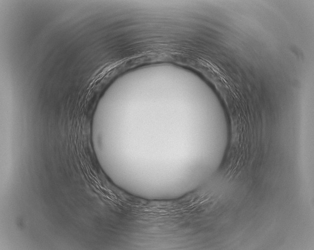 X0000116120773200911230930