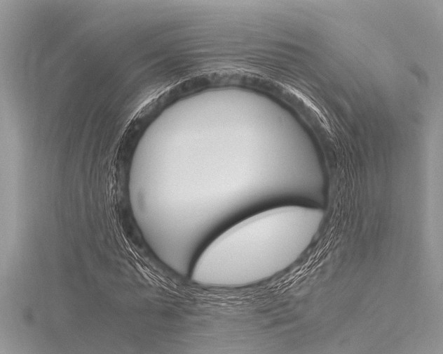 X0000116120775200911230930