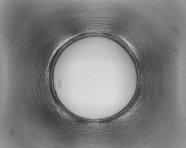 X0000116120779200911230930