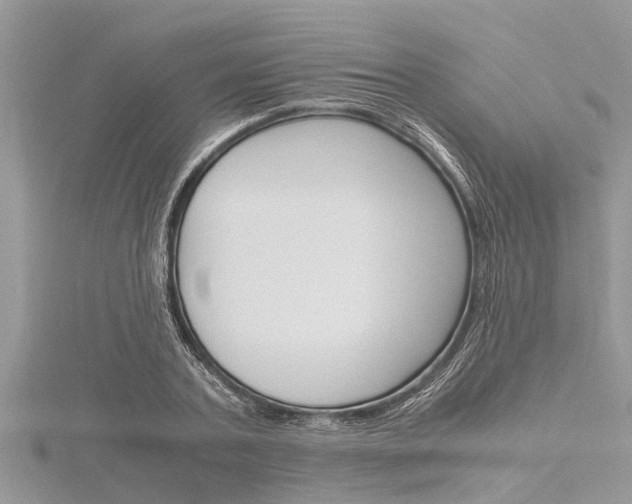 X0000116120787200911230930