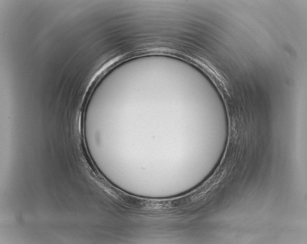 X0000116120790200911230930