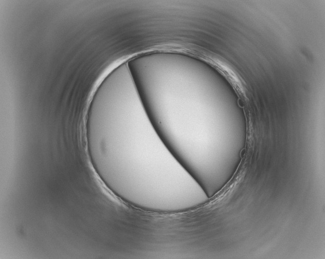 X0000116120808200911230930
