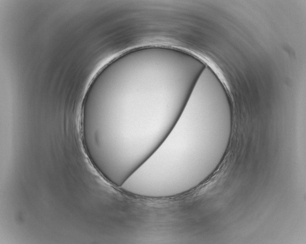 X0000116120815200911230929