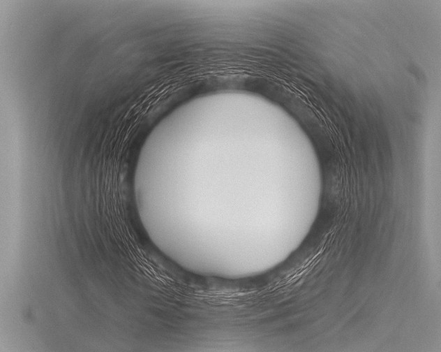 X0000116120818200911230929