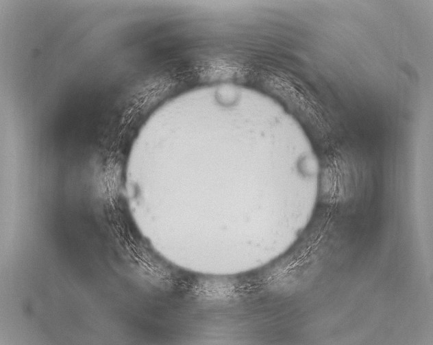 X0000116120820200911230929