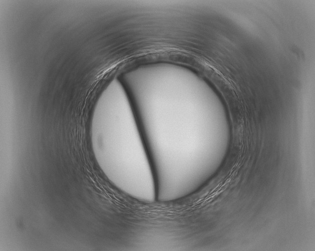 X0000116120822200911230929